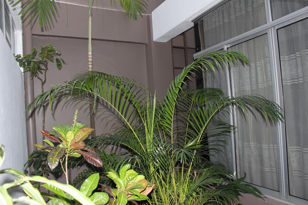 Hotel Arenal By Regina La Fortuna المظهر الخارجي الصورة